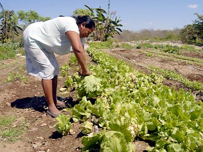 Durante el foro Innovación Sustentable discutieron el potencial de los recursos del país. (Archivo/Cuartoscuro)